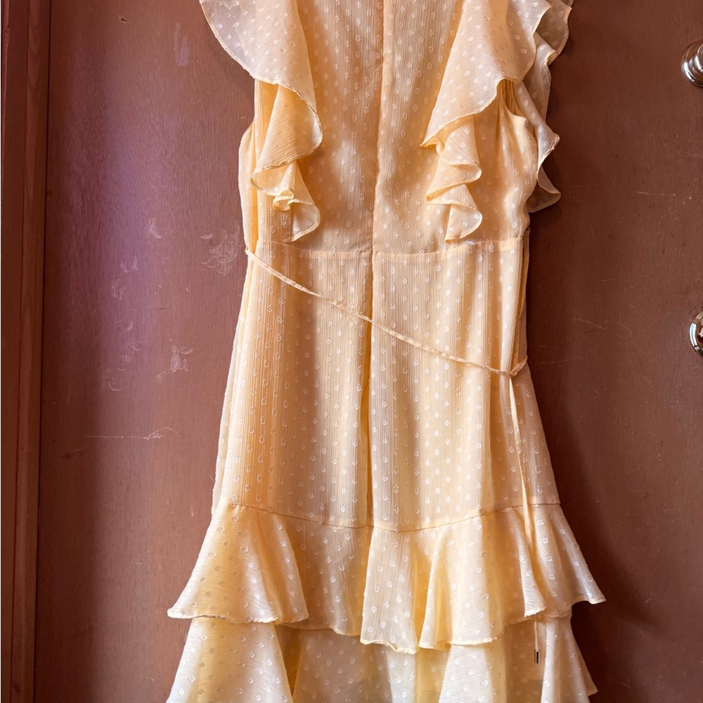 Yellow Ruffled Dress - Picture 2 of 4